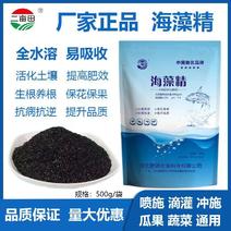 海藻精，全水溶肥，河北邯郸市源沃肥业科技有限