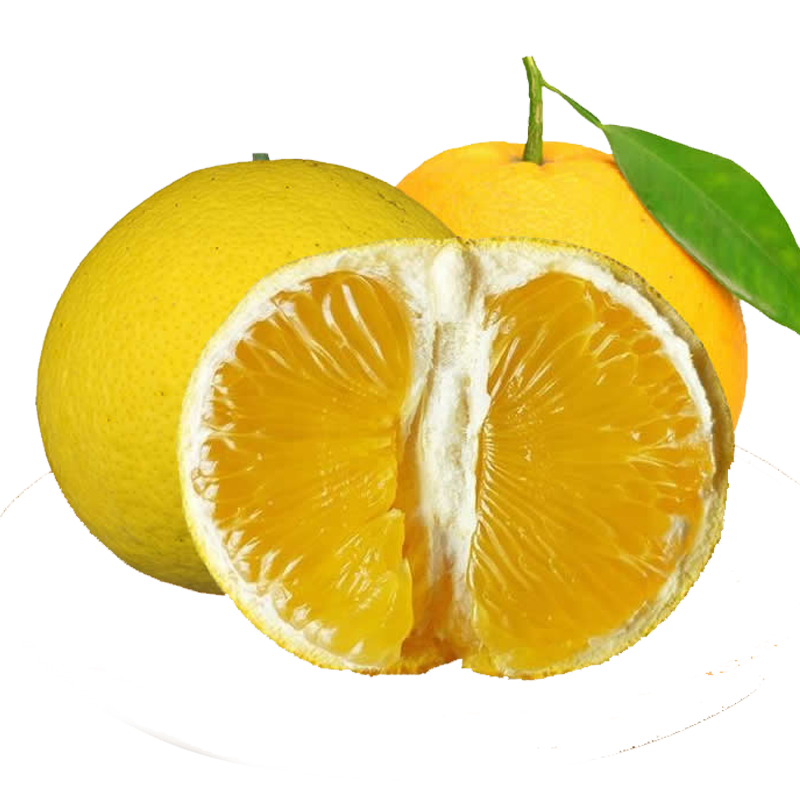 常山胡柚