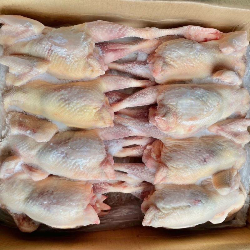 冷冻一级老母鸡黄油老鸡红毛蛋鸡走地鸡笨鸡
