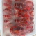 清水冻虾，价格美丽，货源充足