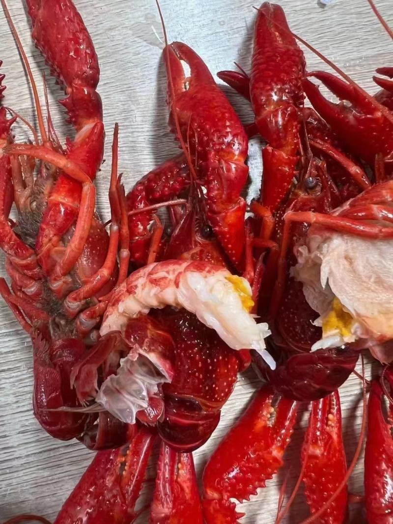 清水冻虾，价格美丽，货源充足