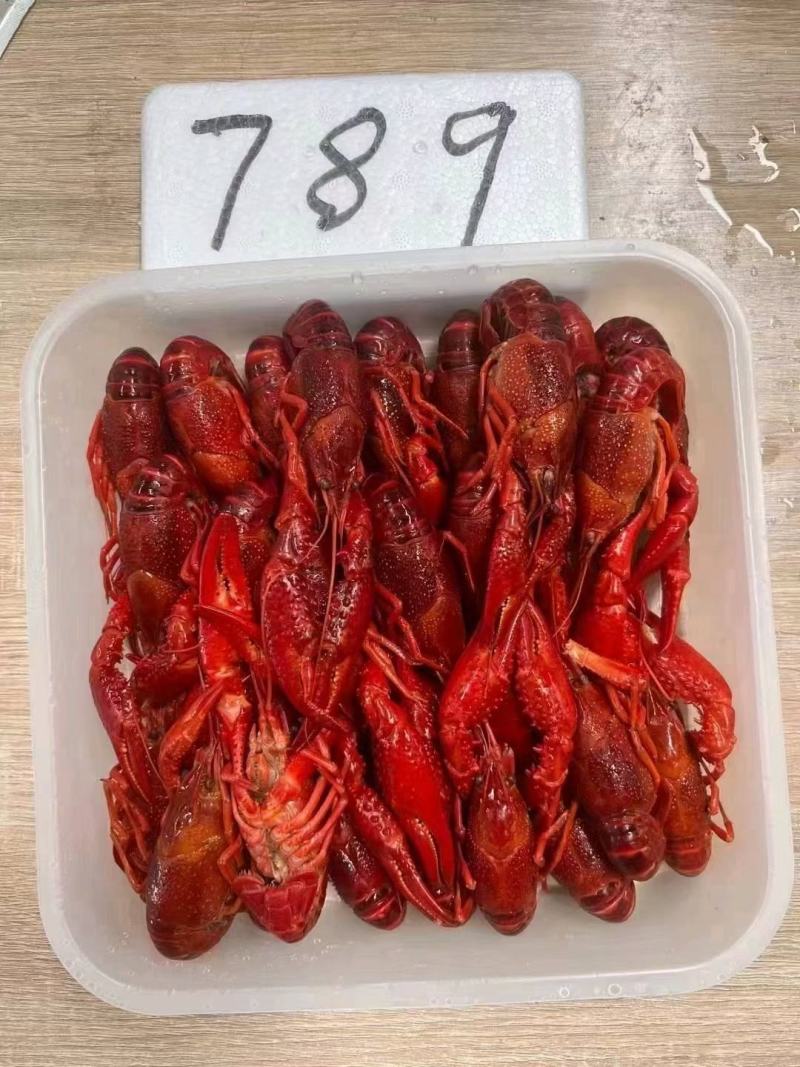 清水冻虾，价格美丽，货源充足