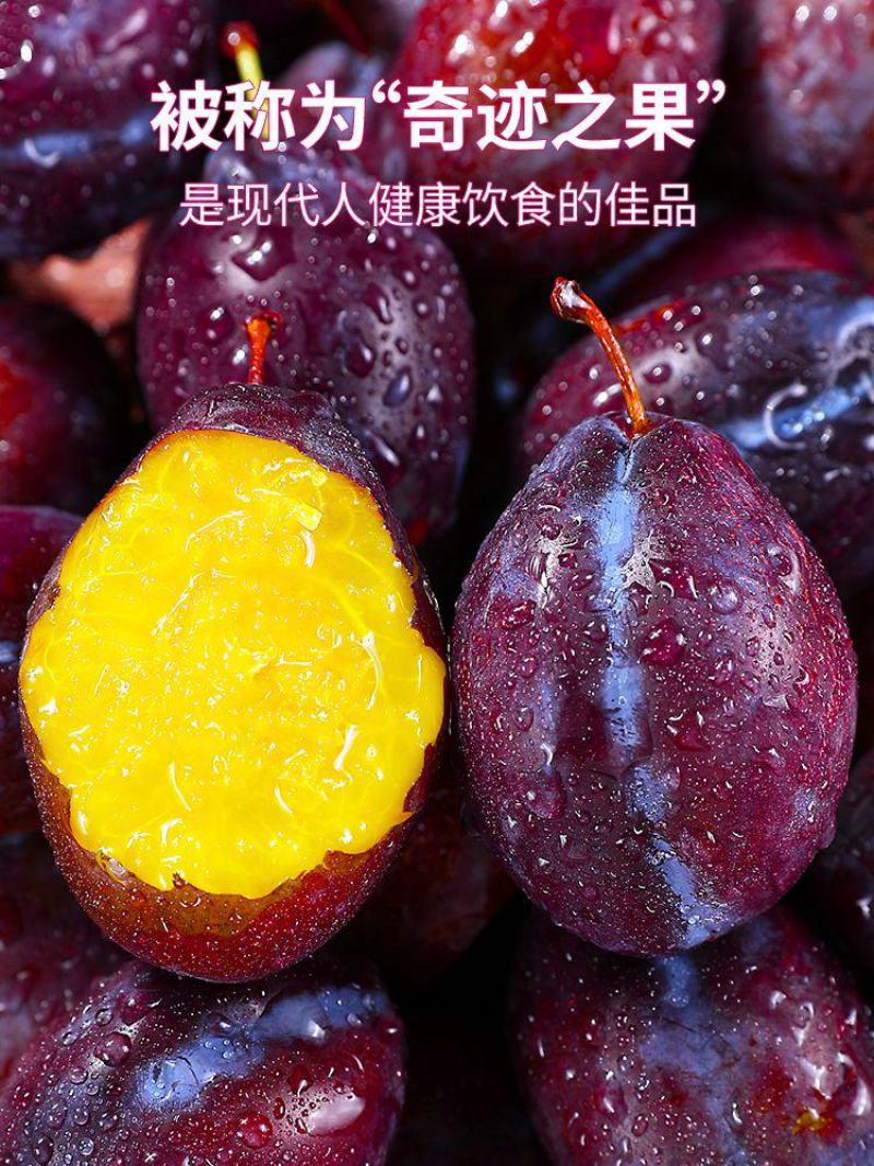 【坏果包邮】现货西梅新鲜5斤正宗喀什法兰西水果，一件代发
