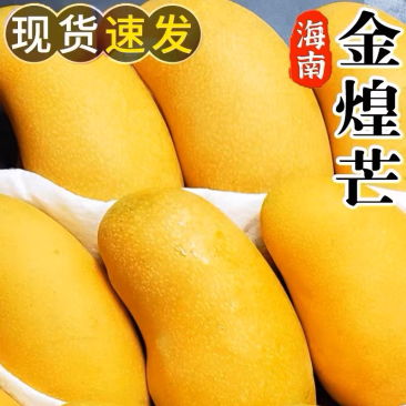 海南热带水果金煌芒十斤礼盒装包邮