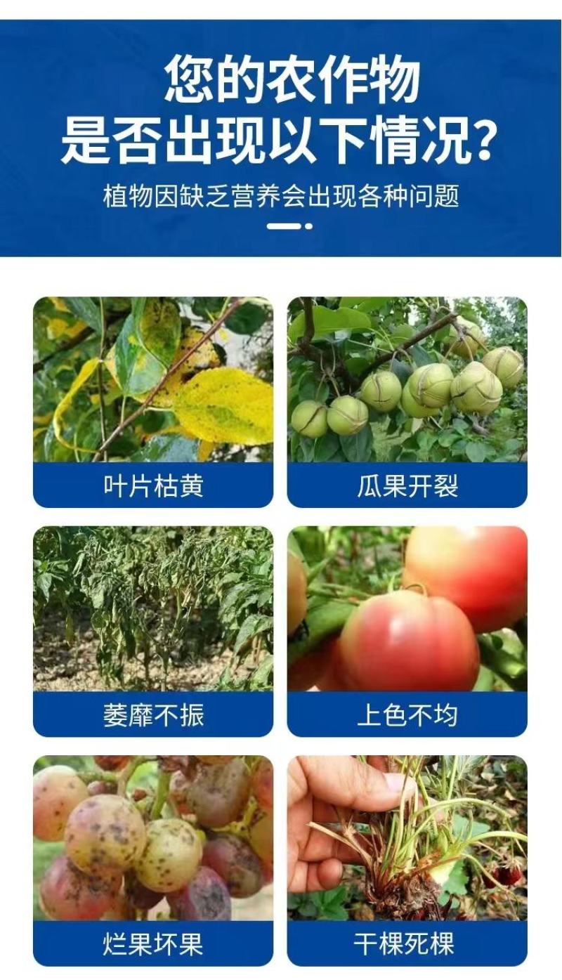 海藻氨基酸液体水溶肥叶面肥喷施冲施滴灌灌根速溶肥
