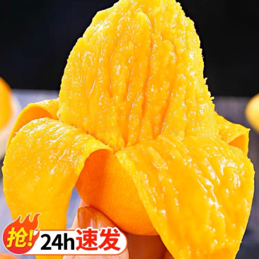 海南热带水果小台芒十斤礼盒装包邮