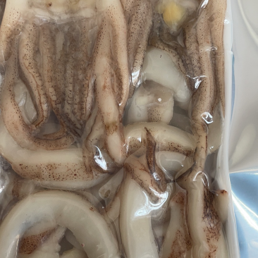鱿鱼三宝新鲜鱿鱼组合干锅小炒铁板酒店食材