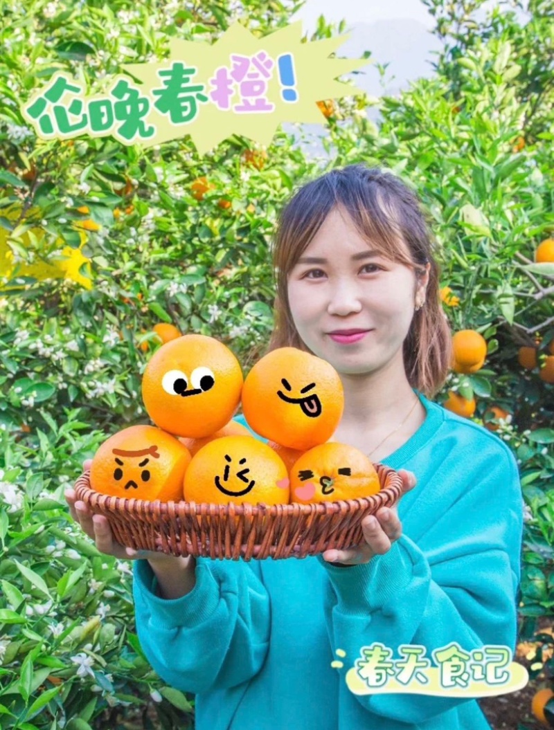 伦晚脐橙皮薄汁多花果同枝现摘现发对接批发电商商超质量优
