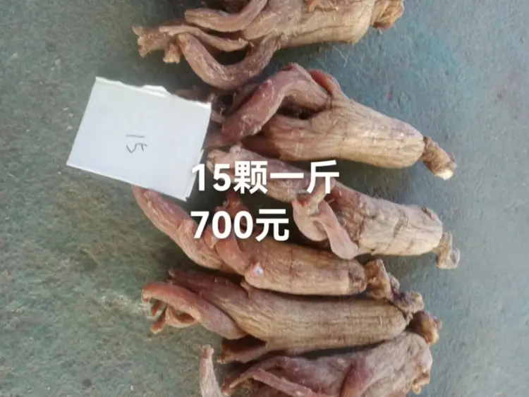 精品人参片,红参片,大量供应,价格优惠,保质保量,关迎
