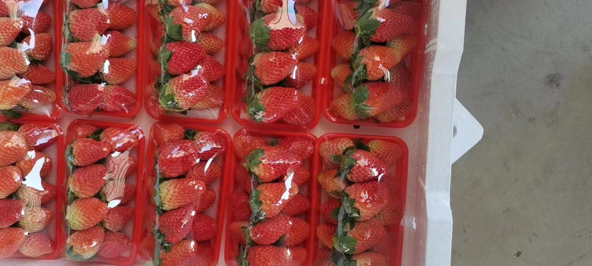 新鲜草莓与打发奶油混合后的草莓奶油,色泽粉红,质地细腻丝滑 草莓奶油成品展示