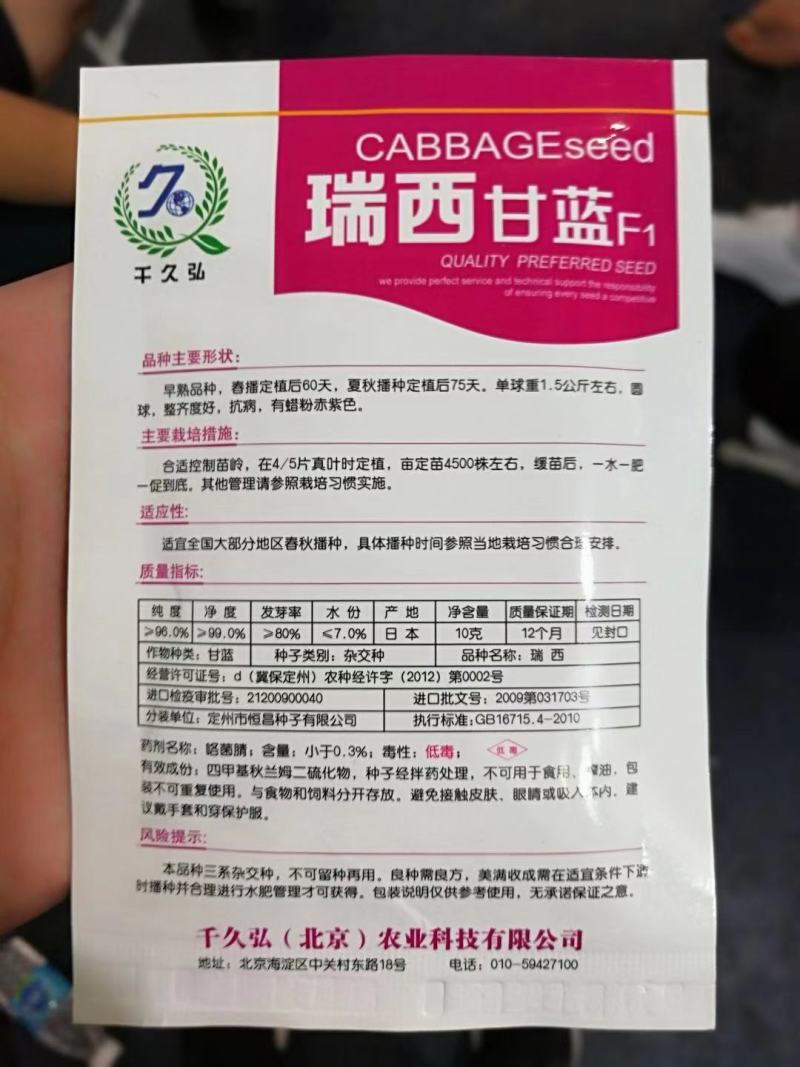 瑞西紫甘蓝种子叶片厚耐热耐裂抗病性强产量高
