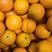 【多规格可选】红江橙橙子大量上市全国发货欢迎实地看货