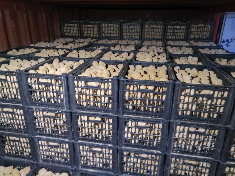 生产厂家资质齐全大小规格各种等级都有全年有货全国接单坏烂包赔