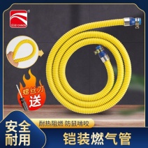 家用铠装燃气管防爆天然气管液化煤气管热水器连接管灶具金属