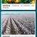 钼肥豆类作物果树专用钼肥叶片浓绿色泽好预防植株矮小