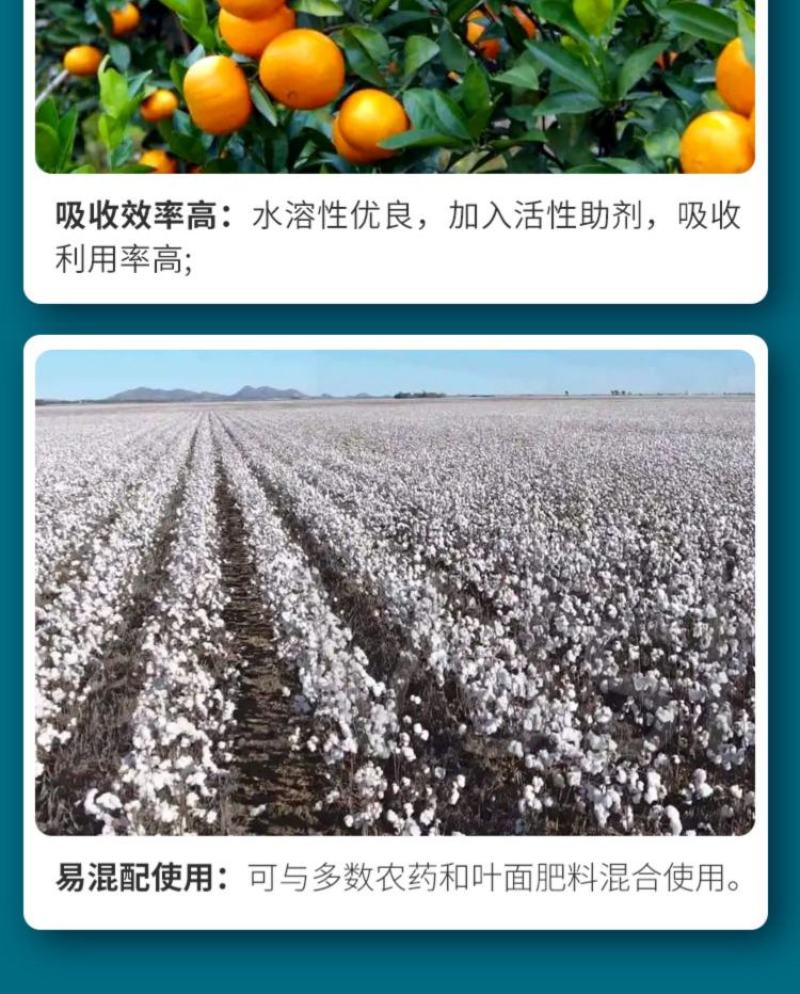 钼肥豆类作物果树专用钼肥叶片浓绿色泽好预防植株矮小
