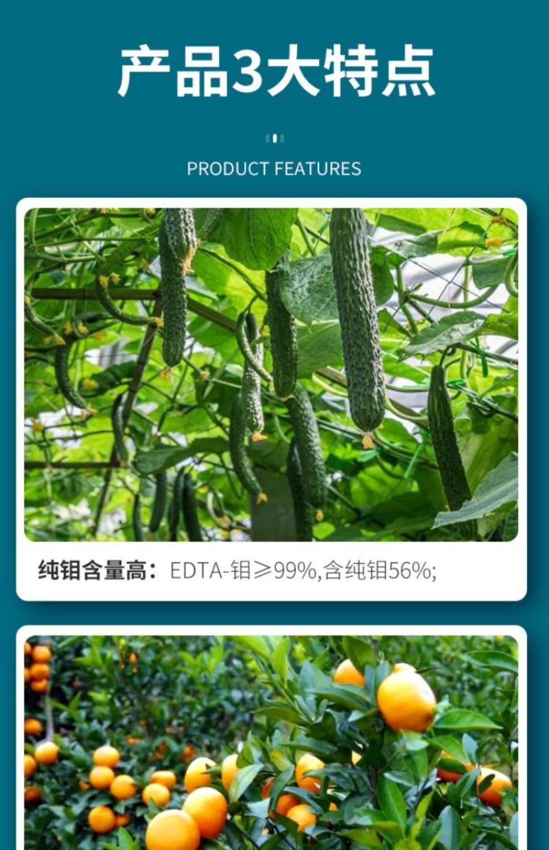 钼肥豆类作物果树专用钼肥叶片浓绿色泽好预防植株矮小