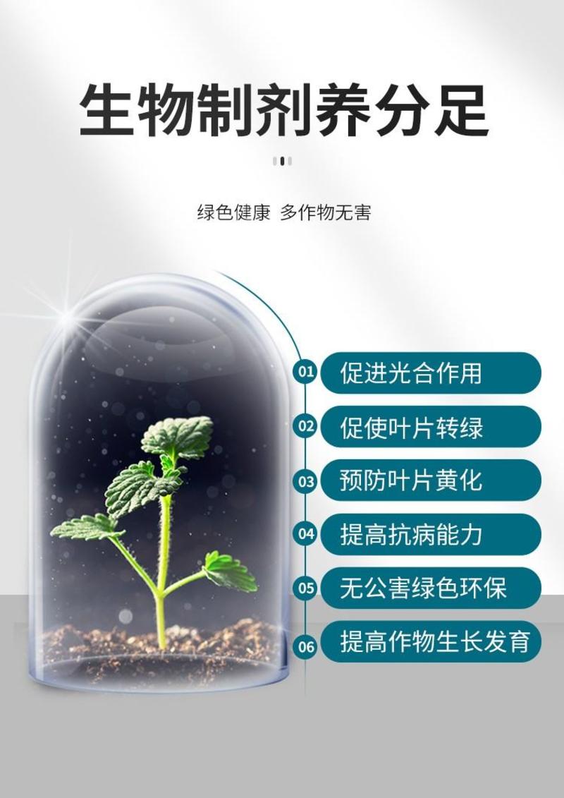 钼肥豆类作物果树专用钼肥叶片浓绿色泽好预防植株矮小