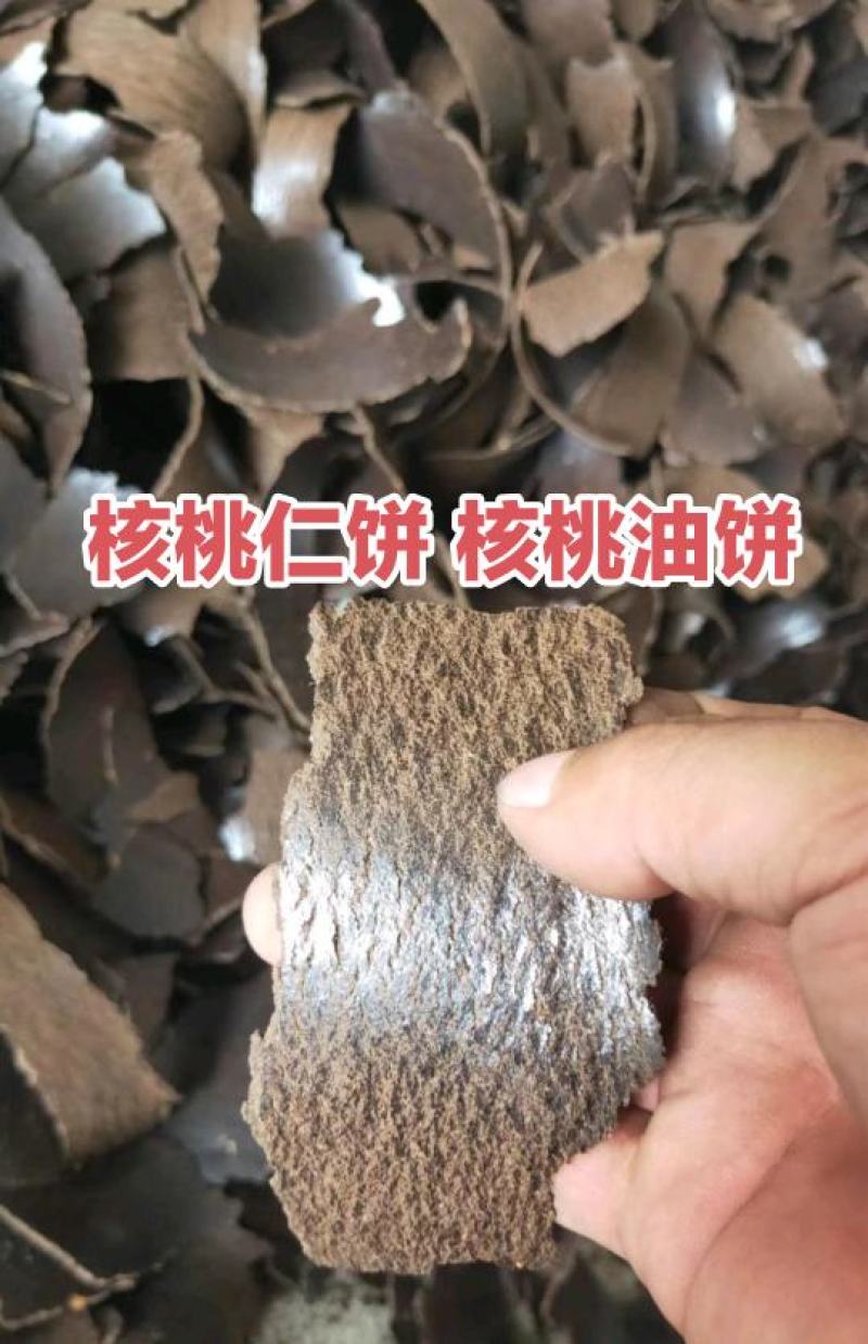 核桃仁饼核桃油饼适用猪牛羊养殖场饲料添加蛋白高味浓