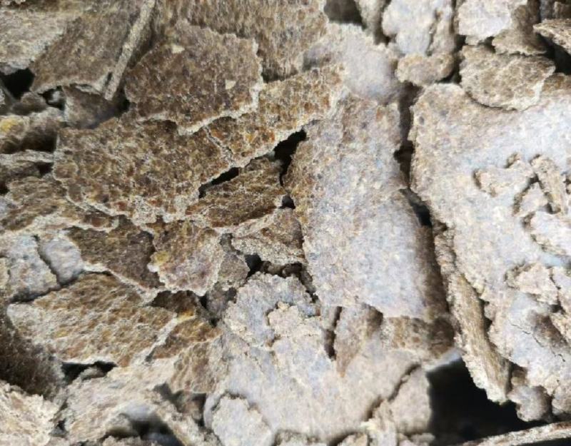 核桃仁饼核桃油饼适用猪牛羊养殖场饲料添加蛋白高味浓