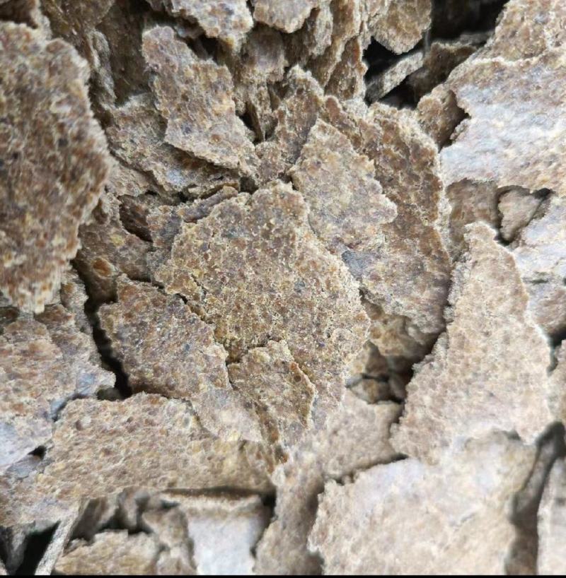 核桃仁饼核桃油饼适用猪牛羊养殖场饲料添加蛋白高味浓