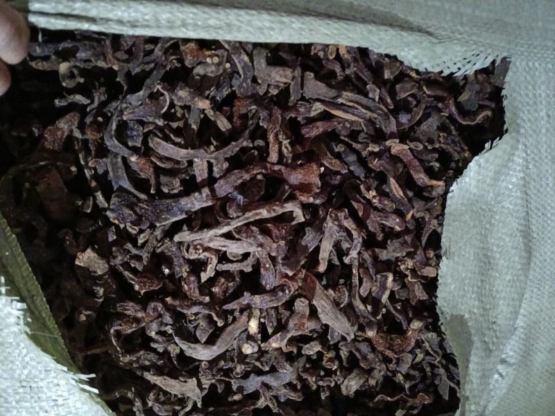 骨碎补品质优良产地一手货源交通方便物流便