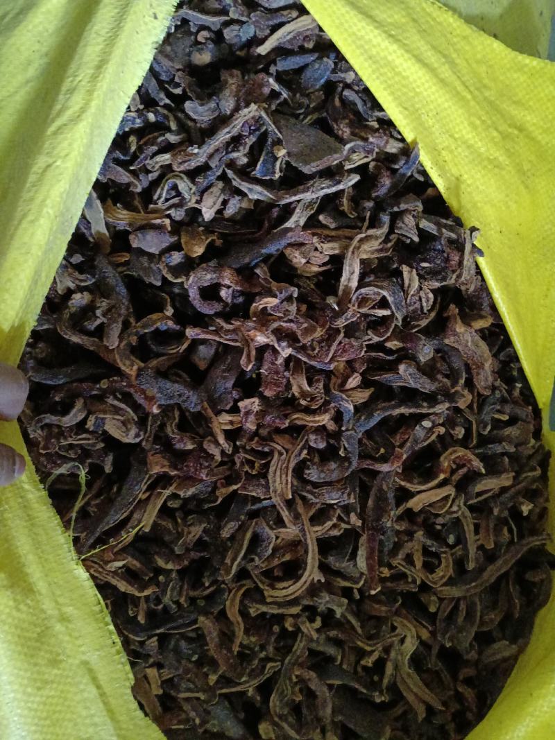 骨碎补品质优良产地一手货源交通方便物流便