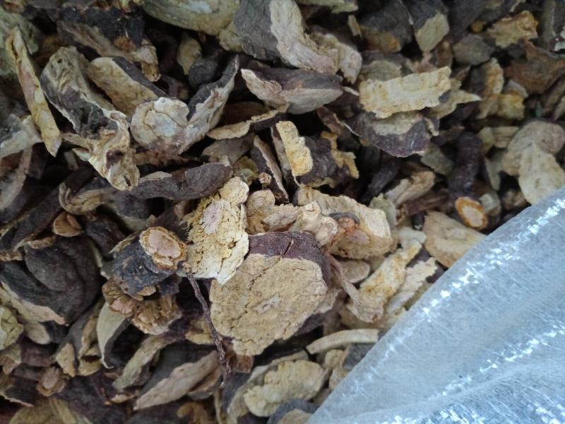 何首乌产地一手货源交通方便物流便宜品质优
