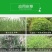 科迪华盖草能高效氟吡甲禾灵禾本杂草芦苇除草剂