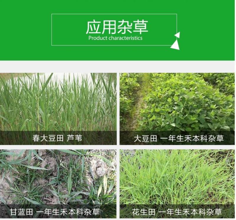 科迪华盖草能高效氟吡甲禾灵禾本杂草芦苇除草剂