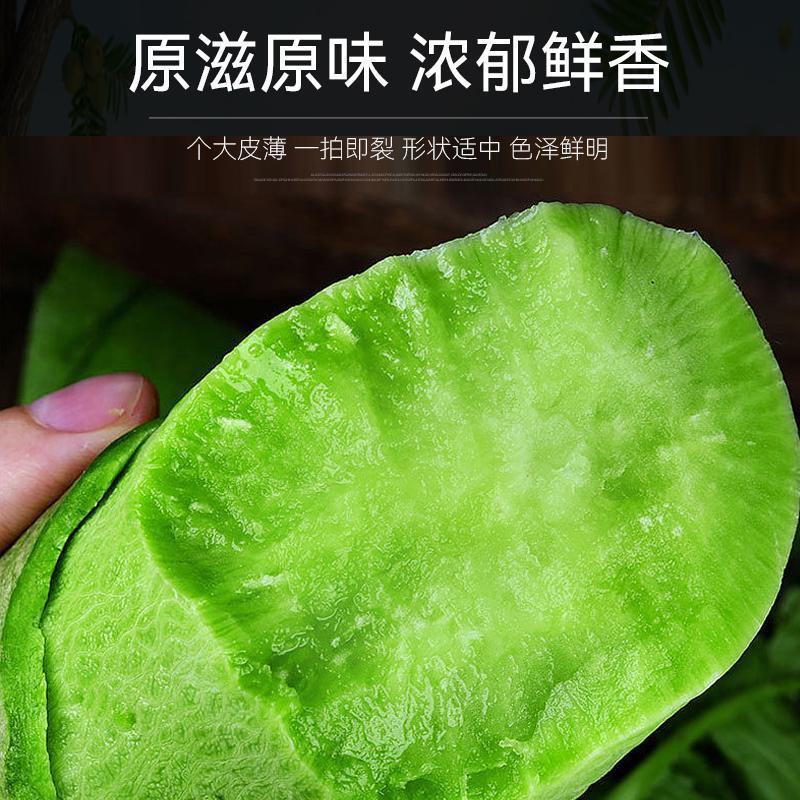 萝卜水果萝卜青萝卜沙窝萝卜潍县萝卜产地直发一件代发