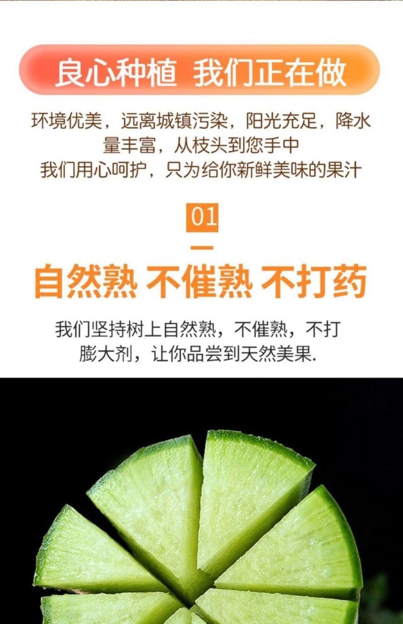 萝卜水果萝卜青萝卜沙窝萝卜潍县萝卜产地直发一件代发
