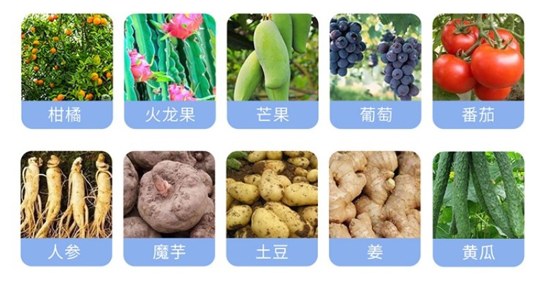 安道麦可力得10177%氢氧化铜早疫病溃疡病杀菌剂