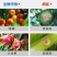 安道麦可力得10177%氢氧化铜早疫病溃疡病杀菌剂