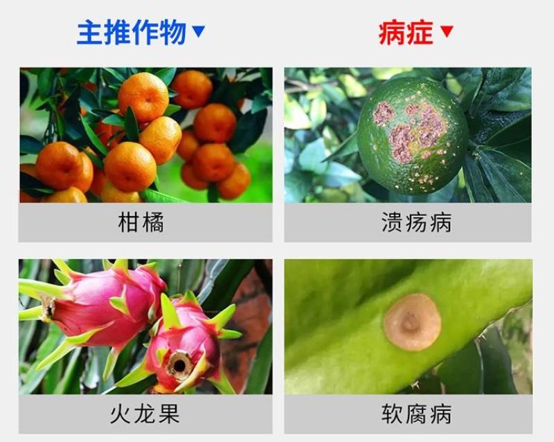 安道麦可力得10177%氢氧化铜早疫病溃疡病杀菌剂