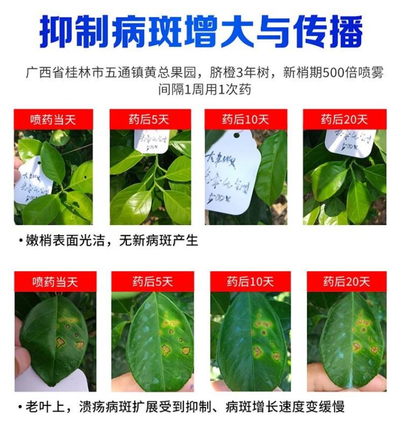 安道麦可力得10177%氢氧化铜早疫病溃疡病杀菌剂