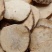 泽泻批发零售各种规格泽泻纯干无硫量大优惠