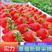 红颜草莓上市了有需要的可以联系了，量大价优欢迎订购