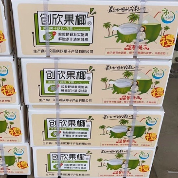 真正的文昌椰青，好喝又甜