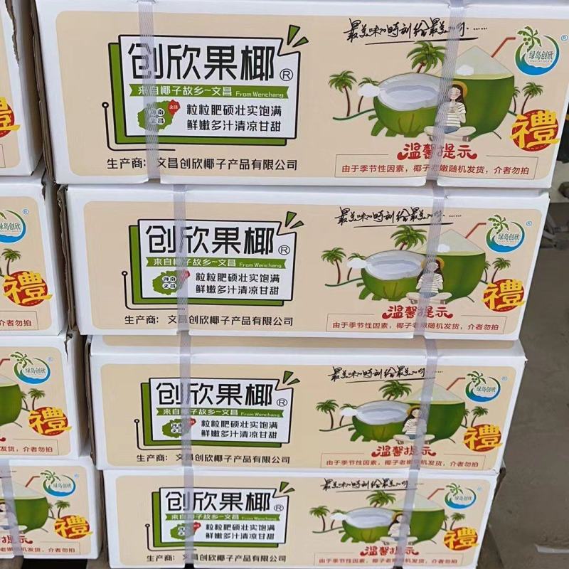 真正的文昌椰青，好喝又甜