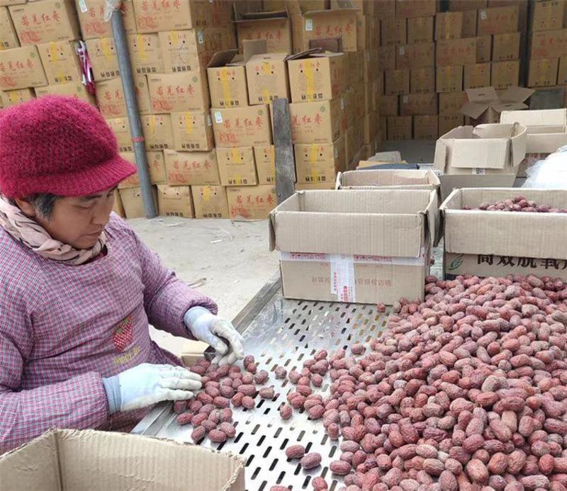 新疆和田红枣质量保证口感好对接电商商超欢迎合作