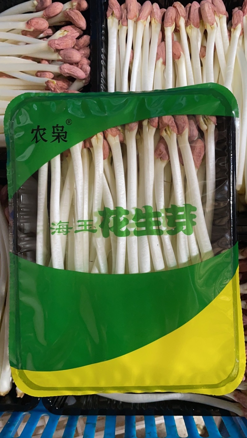 精品花生芽