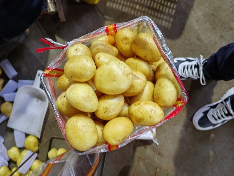 2—4两中货土豆热销中