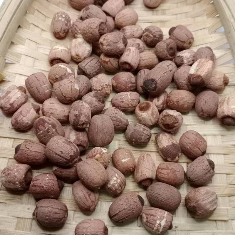 莲子红莲子实心莲子新货纯干无硫批发零售各种中药材