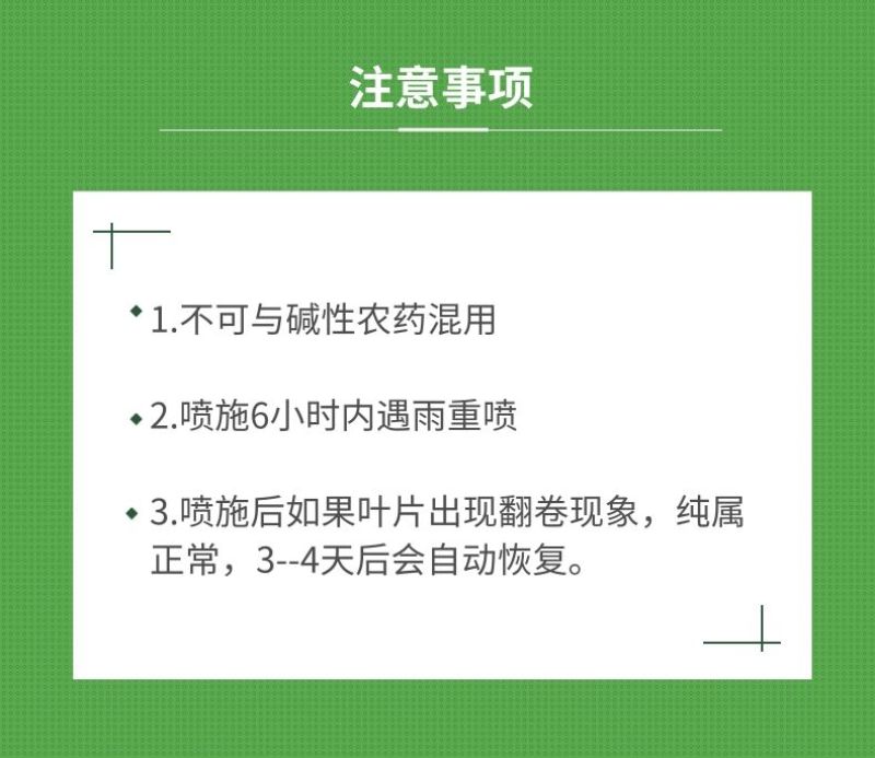 辣椒座果拉直膨果素辣椒增产素膨大素拉长拉直膨果剂叶面肥