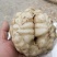 【热销】龙牙鲜百合单个大粒250g-500g