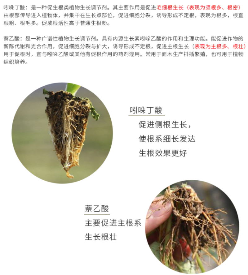 兰月爱根生吲丁.萘乙酸苗木扦插移栽生根粉生长调节剂