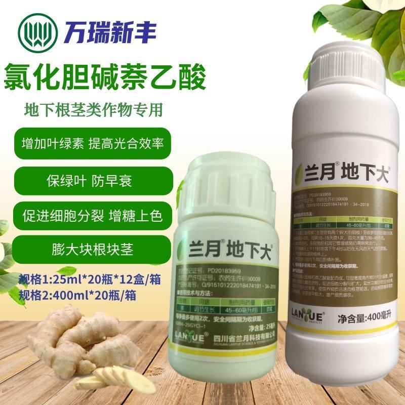 兰月地下大氯化胆碱萘乙酸地下根茎块茎膨大素生长调节剂