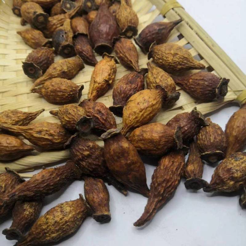 金樱子批发零售金英子纯干无硫量大从优