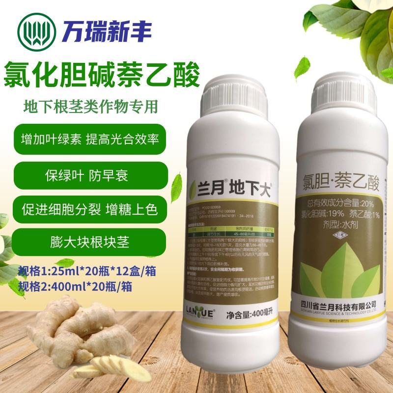 兰月地下大氯化胆碱萘乙酸地下根茎块茎膨大素生长调节剂
